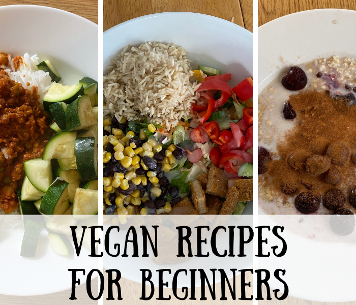 vegan recipes for beginners